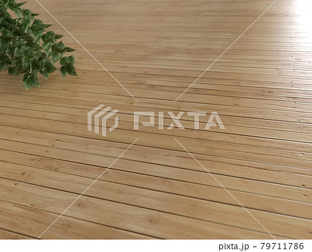 木製の床と植栽の3DCG 79711786