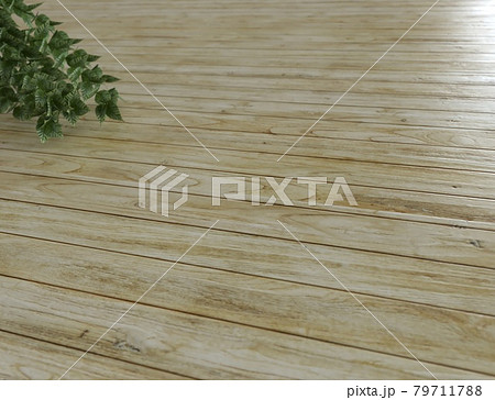 木製の床と植栽の3DCG 79711788