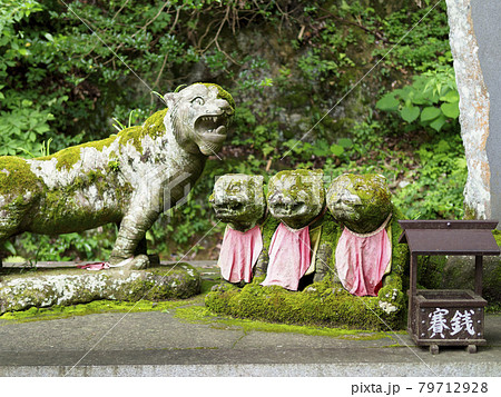寺院に祀られた虎の石像 寺院に祀られた虎の石像 79712928