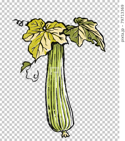 Loofah leaves and fruit, woodblock print style 79713369
