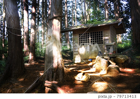 西武秩父ハイキングコース物見山のお堂 西武秩父ハイキングコース物見山のお堂 79713413