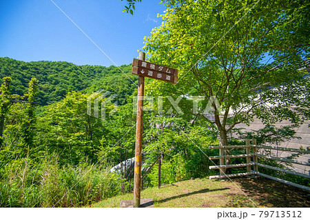 霧積ダム 霧積湖 遊歩道 初夏の周辺景色 霧積ダム 霧積湖 遊歩道 初夏の周辺景色 79713512