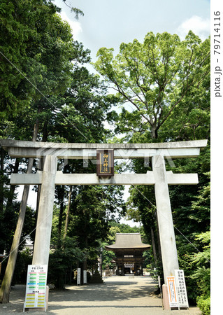 御上神社　鳥居【滋賀県野洲市】 79714116