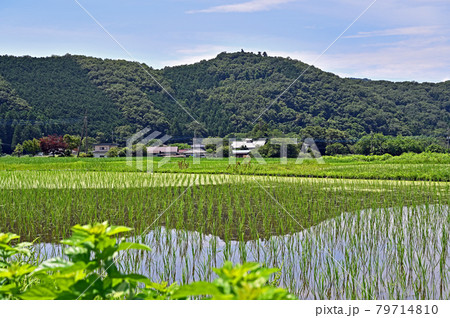 小川町散歩：小川盆地　田園風景 79714810