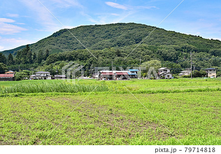 小川町散歩：小川盆地　田園風景 79714818