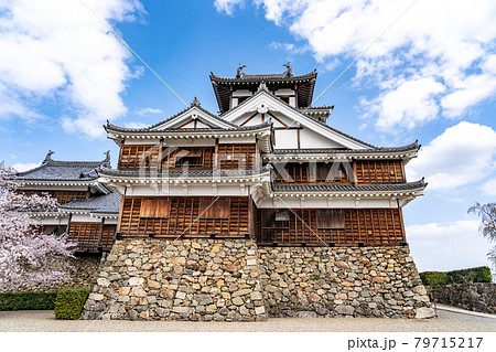 京都府福知山市　桜咲く春の福知山城の天守閣 79715217