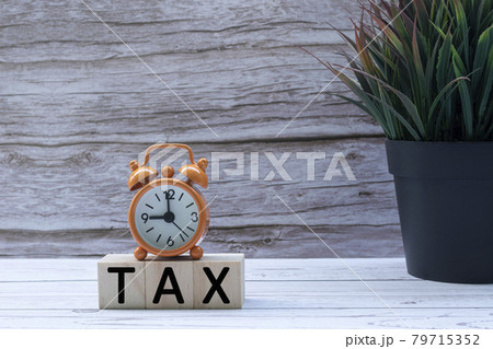 Tax text on wooden block cube with alarm clock and potted plant Tax text on wooden block cube with alarm clock and potted plant 79715352