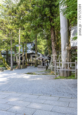 諏訪大社 上社本宮 境内 諏訪大社 上社本宮 境内 79715384