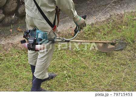 植木職人の草刈り作業風景 植木職人の草刈り作業風景 79715453
