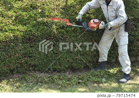 植木職人のバリカンで刈込作業 79715474