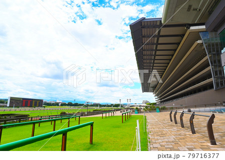 東京競馬場　開催日　場内風景（最終コーナー付近観客席より） 79716377