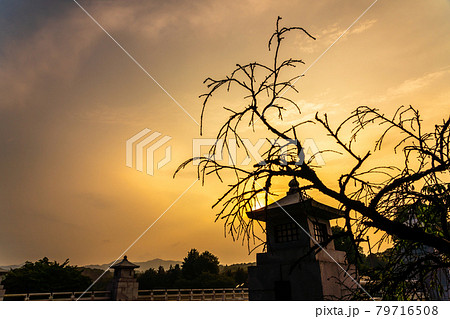 多摩御陵参道　南浅川橋の夕景 79716508