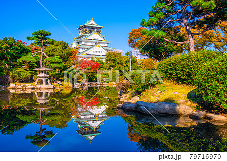 秋の大阪城と日本庭園 79716970