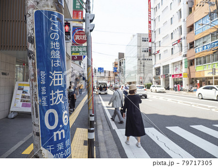 海抜表示・0.6m 79717305