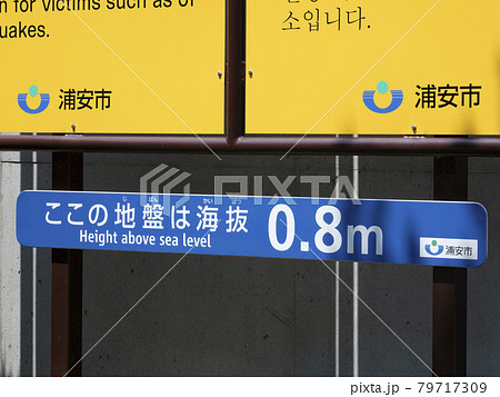 海抜表示・0.8m 79717309