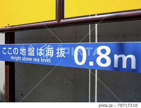 海抜表示・0.8m 79717310