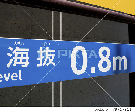 海抜表示・0.8m 79717311