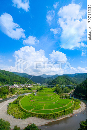 夏のあらぎ島の風景　和歌山県有田郡有田川町 79718359