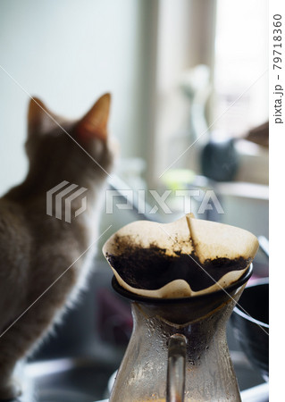 コーヒーをいれるイメージ 79718360