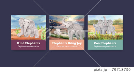 Banner template with elephant funning concept,watercolor style 79718730
