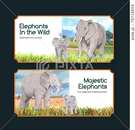 Ticket template with elephant funning concept,watercolor style Ticket template with elephant funning concept,watercolor style 79718858