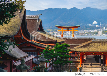 Floating Torii of Itsukushima Shrine in Hiroshima, Japan. Translation: Itsukishima Shrine, the former name of Itsukushima Shrine. 79719209