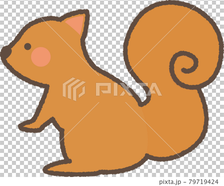 リス かわいいイラストのイラスト素材