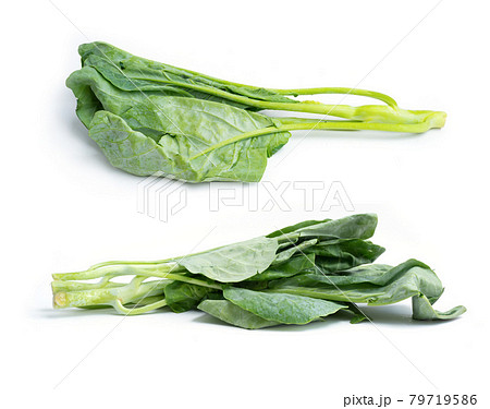 Collard greens. Fresh kale vegetable. Raw organic healthy food. Grocery and supermarket cooking and eating isolated on white background. Vitamin Collard greens. Fresh kale vegetable. Raw organic healthy food. Grocery and supermarket cooking and eating isolated on white background. Vitamin 79719586