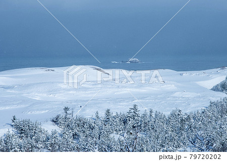 雪の造形　（鳥取砂丘） 79720202