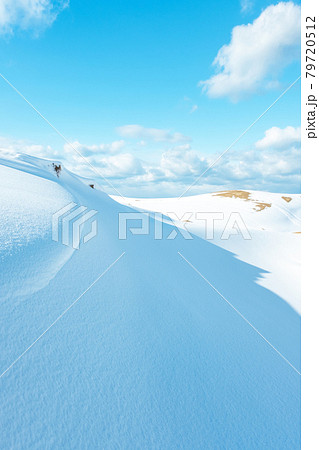雪の造形　（鳥取砂丘） 79720512