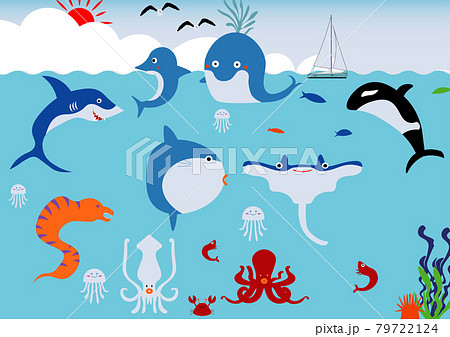 海の生き物 海の生き物 79722124
