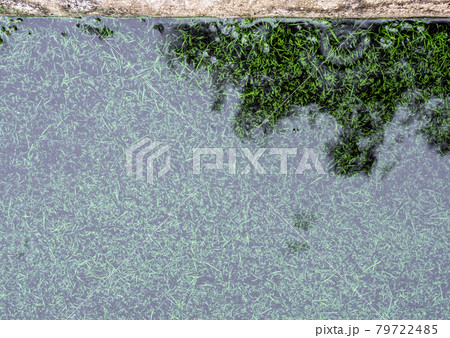 The reflection of tree in the flooding water surface on the artificial grass football field The reflection of tree in the flooding water surface on the artificial grass football field 79722485