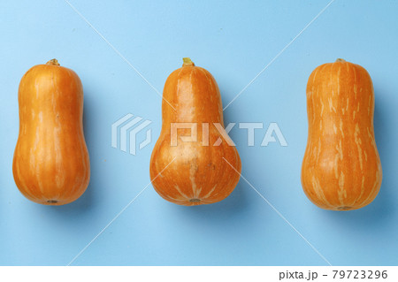 Small pumpkins on blue pastel background top view Small pumpkins on blue pastel background top view 79723296