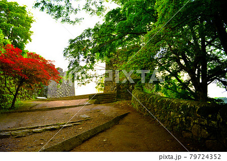 新緑の香りに包まれた難攻不落の堅城「岡城」 79724352