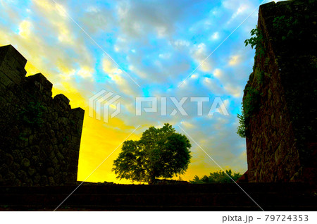 新緑の香りに包まれた難攻不落の堅城「岡城」 79724353