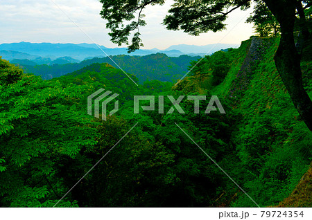 新緑の香りに包まれた難攻不落の堅城「岡城」 79724354