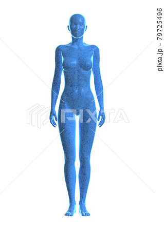女性の体, ボディ, 3D 女性の体, ボディ, 3D 79725496