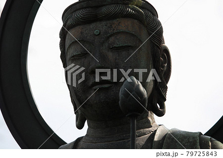 東京浅草・浅草寺境内の台東区有形文化財観音菩薩坐像 79725843