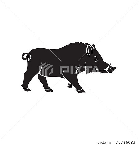 Vector of boar design on white background. Wild Animals. Easy editable layered vector illustration. 79726033