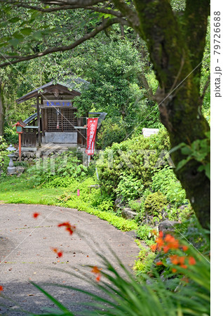 小川町散歩：大聖寺　天台宗　水子地蔵尊 79726688