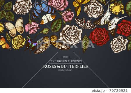 Floral design on dark background with lemon butterfly, red lacewing, african giant swallowtail Floral design on dark background with lemon butterfly, red lacewing, african giant swallowtail 79726921