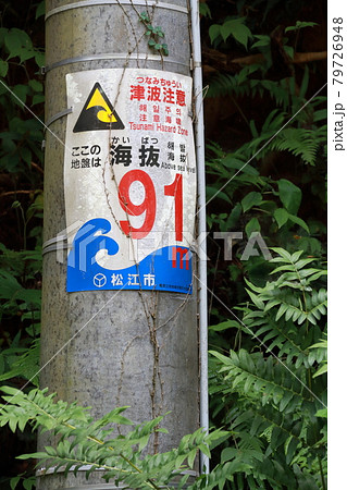 電柱に設置された津波からの避難のための海抜表示 電柱に設置された津波からの避難のための海抜表示 79726948