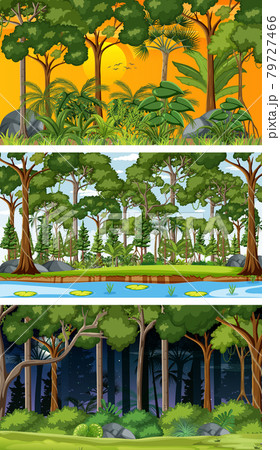 Set of different forest horizontal scenes in different times 79727466