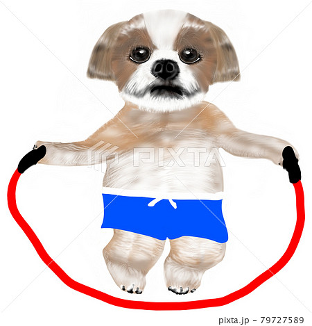 縄跳びをしてダイエットしたい犬のイラスト素材