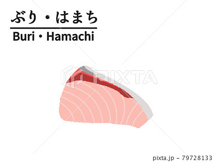 ブリ ハマチの切り身のイラストのイラスト素材