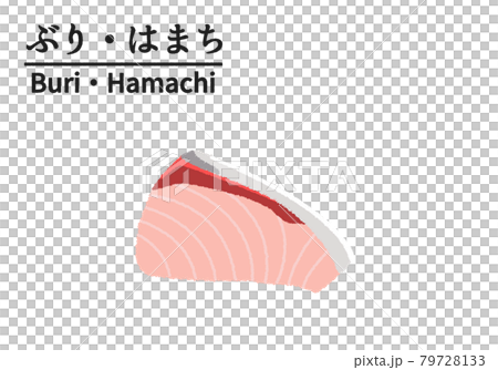 ブリ・ハマチの切り身のイラスト 79728133