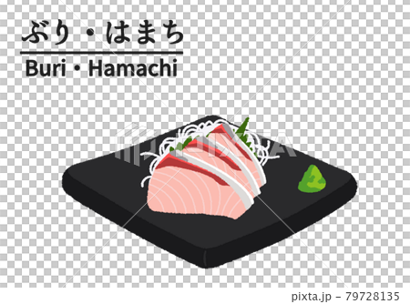鰤魚和hamachi 生魚片的插圖 鰤魚和hamachi 生魚片的插圖 79728135