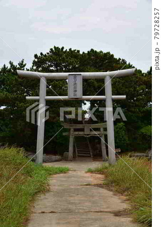 金刀比羅神社より 金刀比羅神社より 79728257