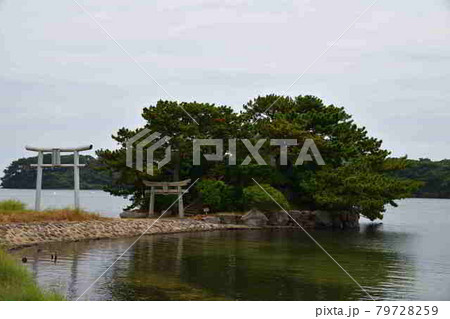 金刀比羅神社より 金刀比羅神社より 79728259