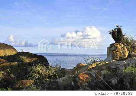 奄美大島の海と夏雲 79729555